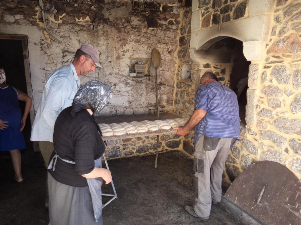 فيلا Sitanos Athena House المظهر الخارجي الصورة
